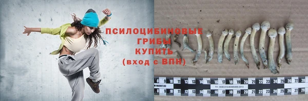 бошки Алзамай