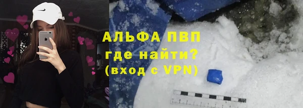 прущие грибы Абдулино