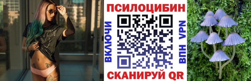 Галлюциногенные грибы Psilocybe  KRAKEN зеркало  Топки 