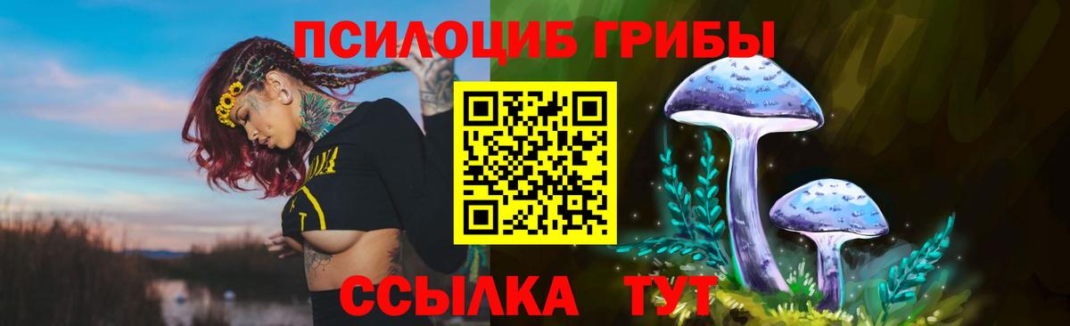 Топки  Псилоцибиновые грибы мицелий  Галлюциногенные грибы Psilocybine cubensis  сколько стоит  Вход с VPN 